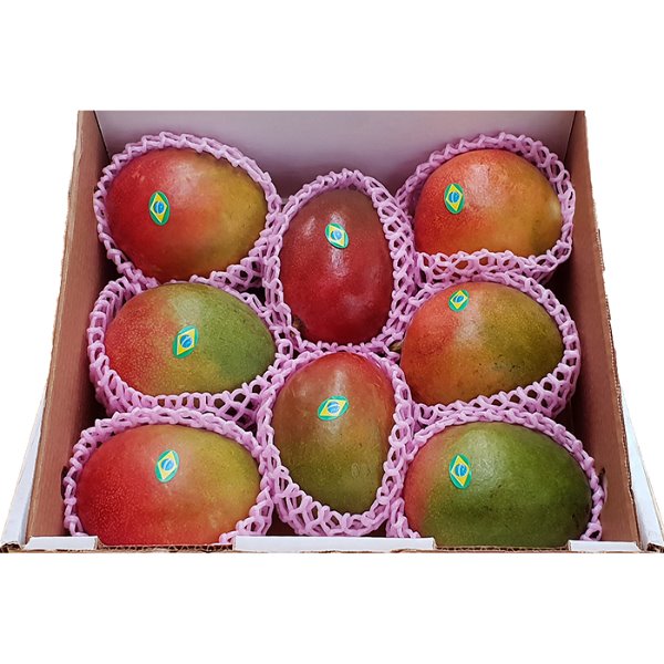 애플망고6-10과내 빨간망고 과일선물세트