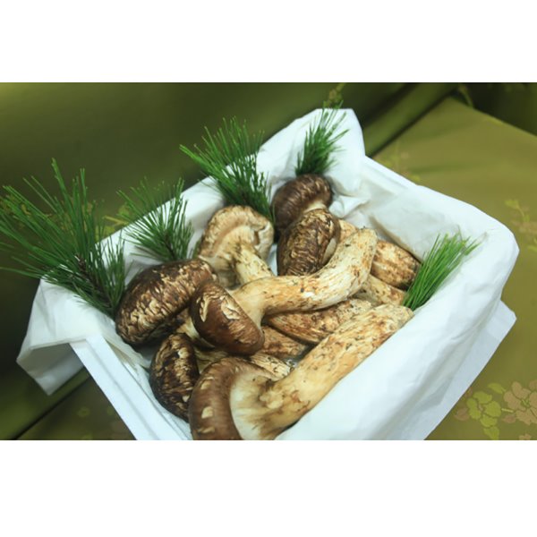 자연산 송이버섯 4등급1kg 중국산 냉동송이버섯