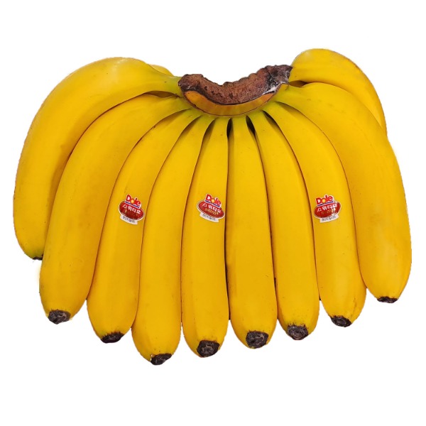 스위티오 바나나 1송이 고당도바나나